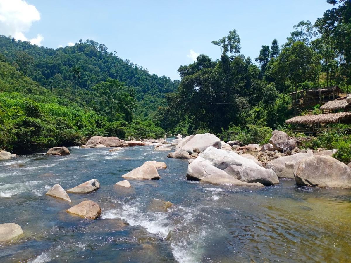 Gio Lao Eco Lodge - Dao Che Thanh Chuong Trai Do ภายนอก รูปภาพ