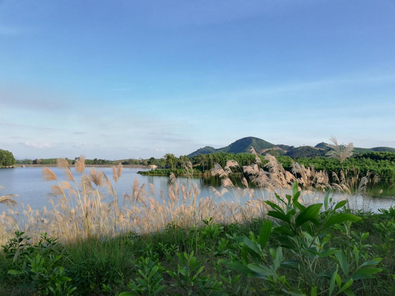 Gio Lao Eco Lodge - Dao Che Thanh Chuong Trai Do ภายนอก รูปภาพ